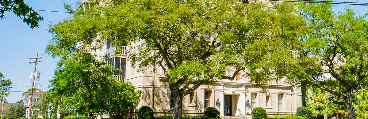 New Orleans Condominiums